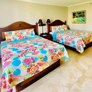 Apartment Cozy With Free Parking In Waikiki, Honolulu